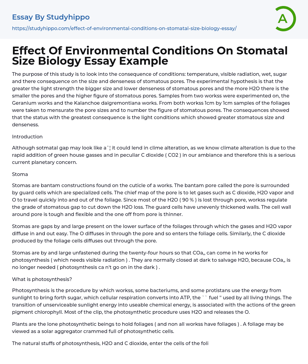 Effect Of Environmental Conditions On Stomatal Size Biology Essay Example