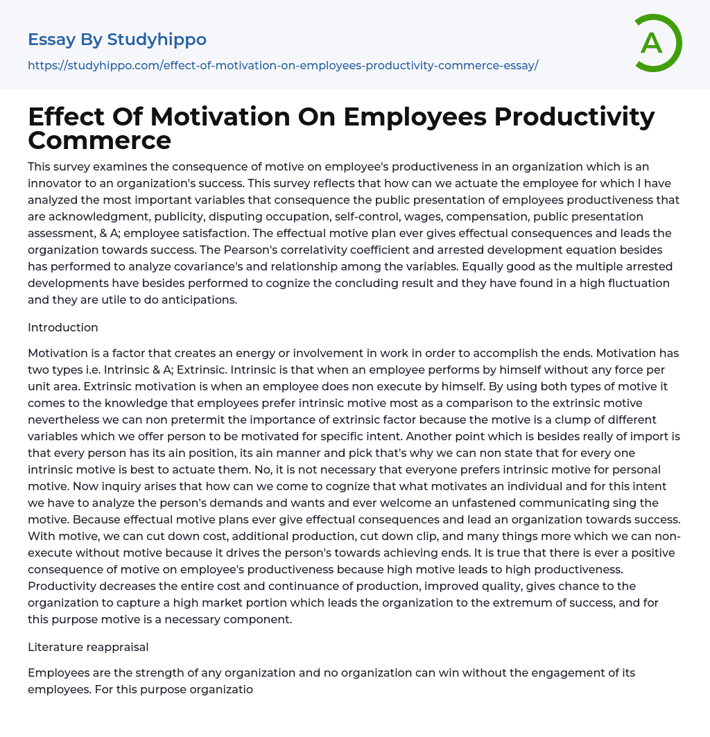 Effect Of Motivation On Employees Productivity Commerce Essay Example
