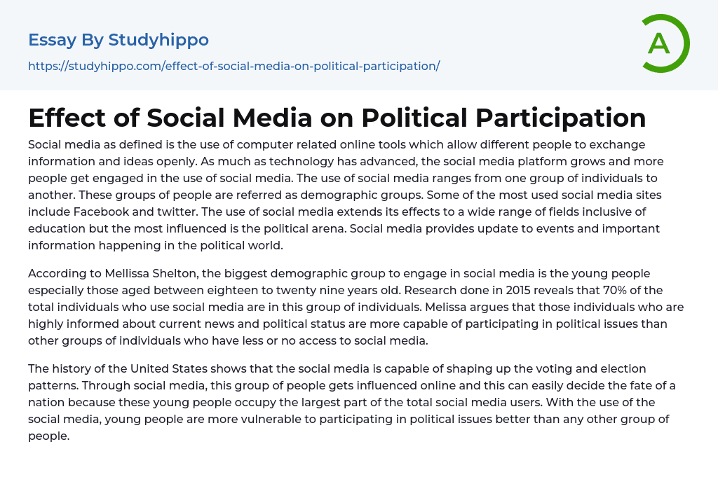 Effect of Social Media on Political Participation Essay Example