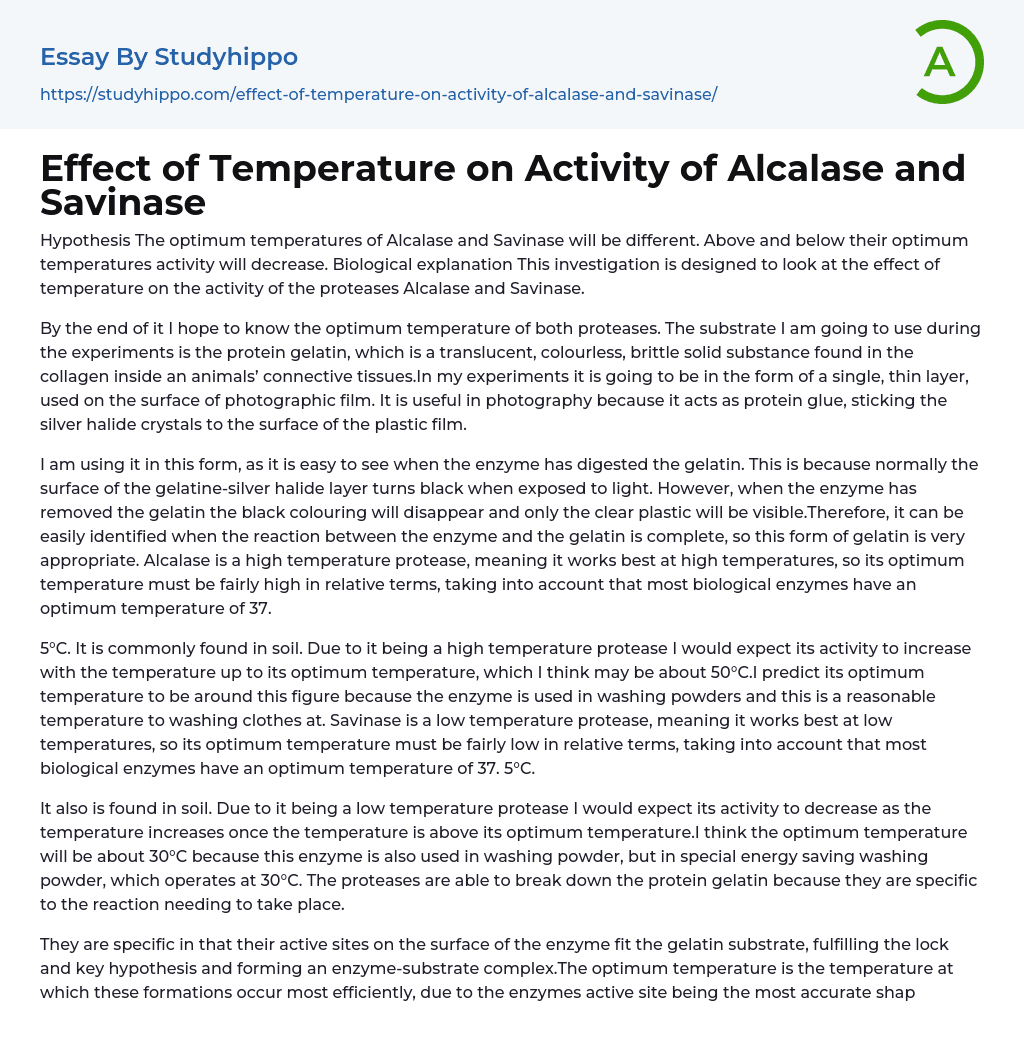 Effect of Temperature on Activity of Alcalase and Savinase Essay Example