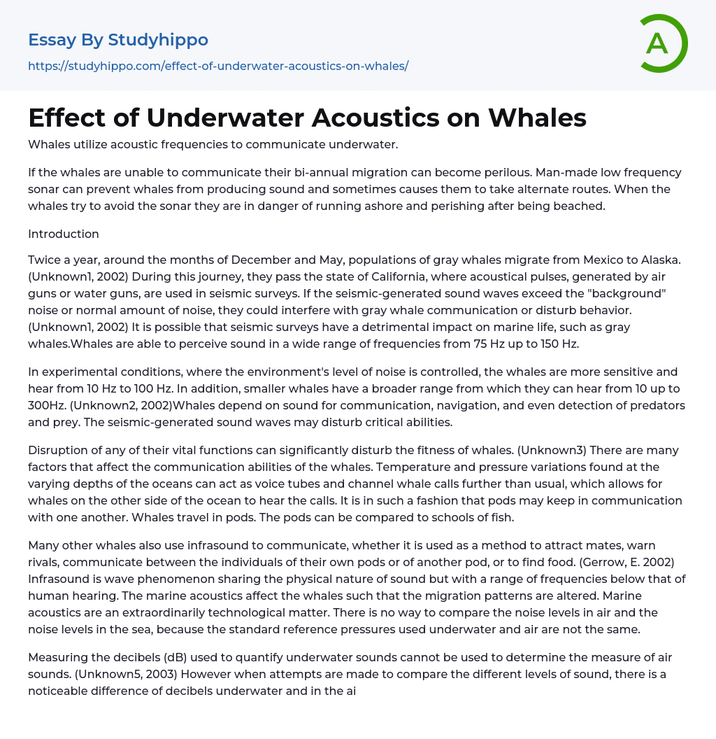 Effect of Underwater Acoustics on Whales Essay Example