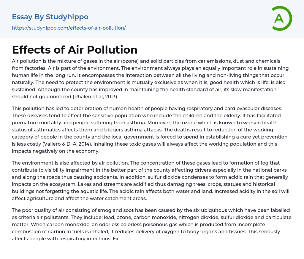 Effects of Air Pollution Essay Example