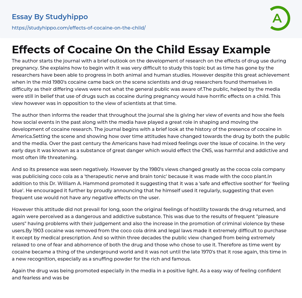Effects of Cocaine On the Child Essay Example