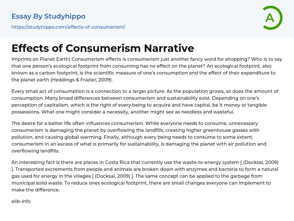 Effects of Consumerism Narrative Essay Example