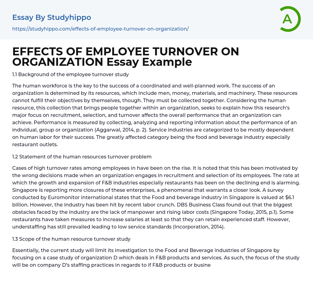 EFFECTS OF EMPLOYEE TURNOVER ON ORGANIZATION Essay Example