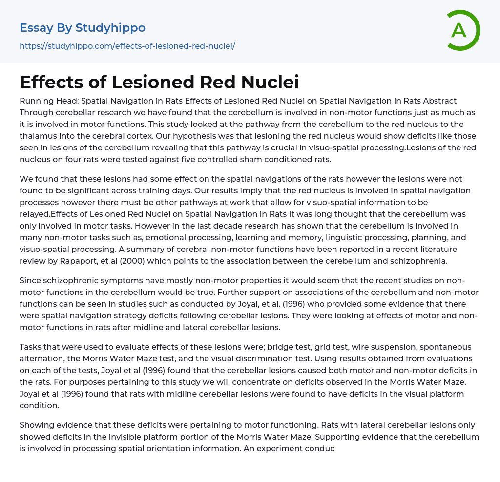 Effects of Lesioned Red Nuclei Essay Example