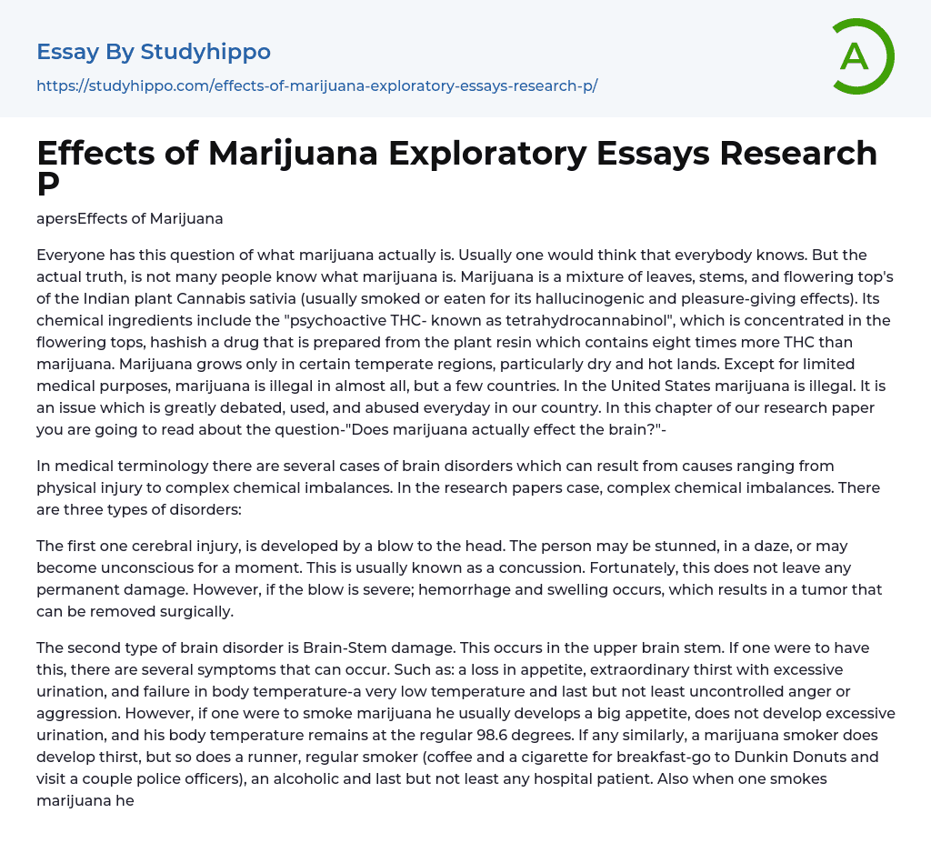 Effects of Marijuana Exploratory Essays Research P