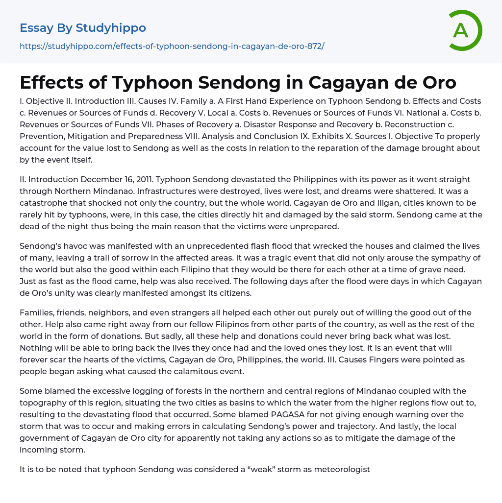 Effects of Typhoon Sendong in Cagayan de Oro Essay Example