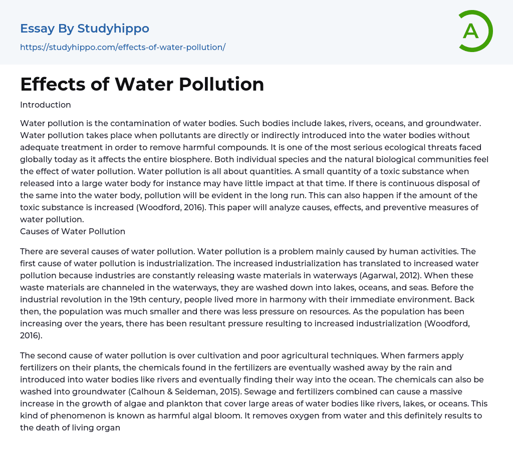 Effects of Water Pollution Essay Example