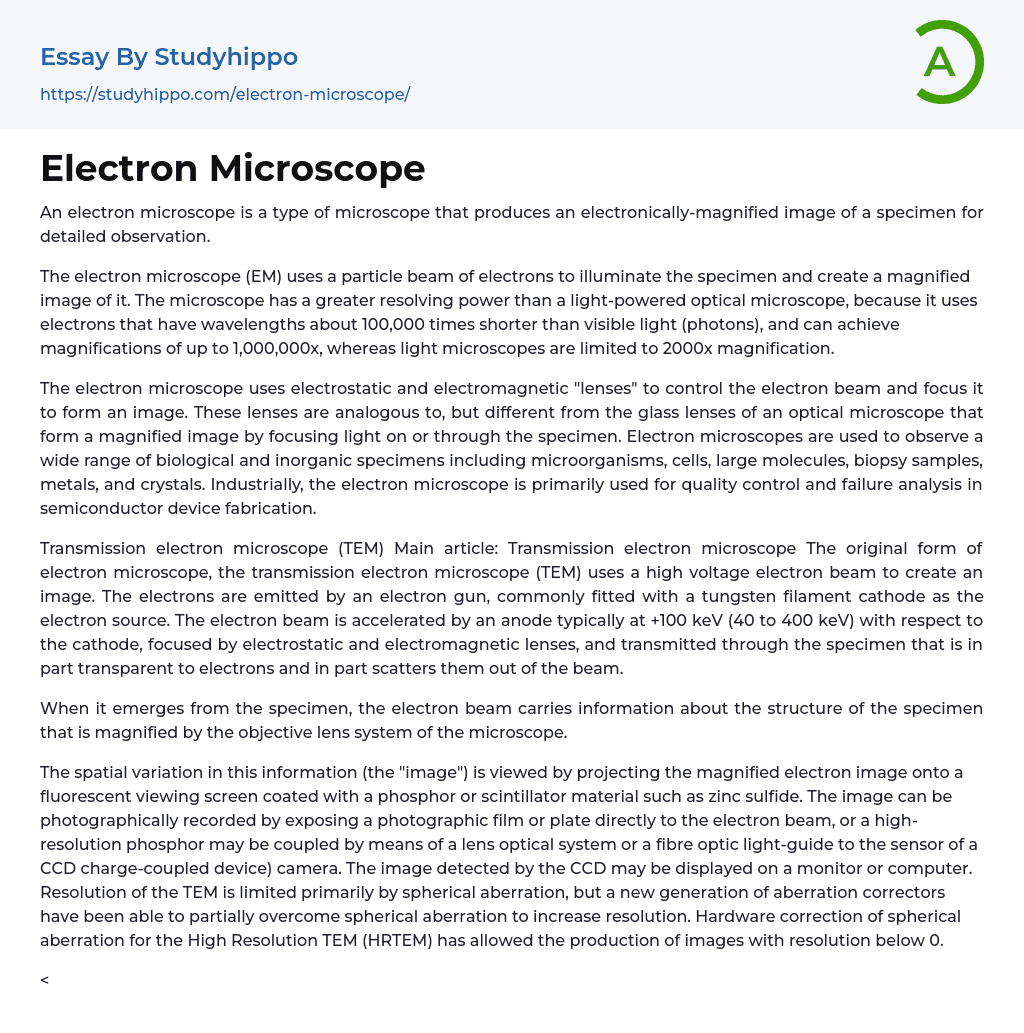 Electron Microscope Essay Example