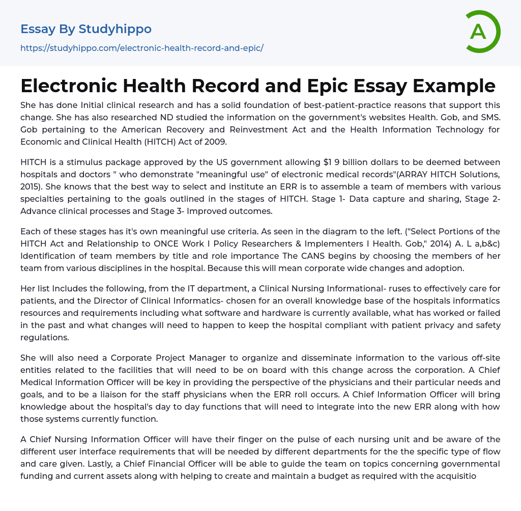 Electronic Health Record and Epic Essay Example