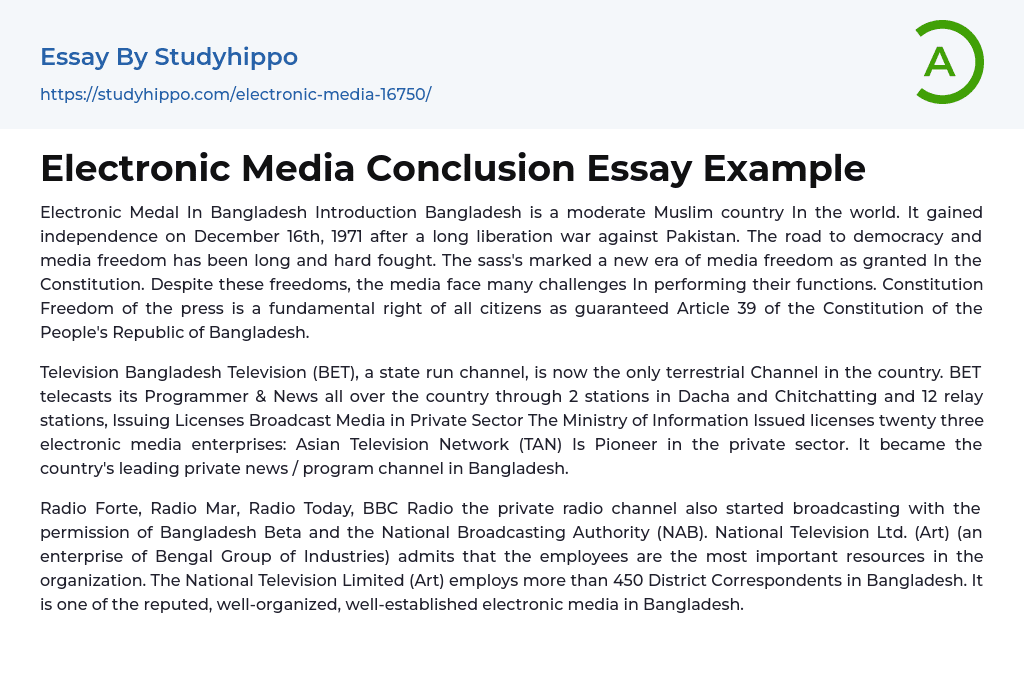 Electronic Media Conclusion Essay Example