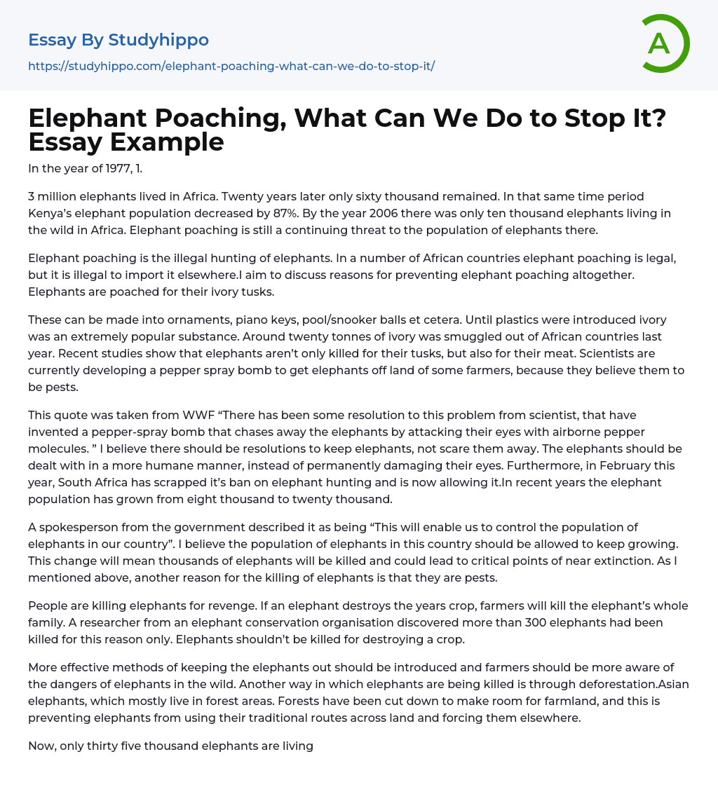 Elephant Poaching, What Can We Do to Stop It? Essay Example
