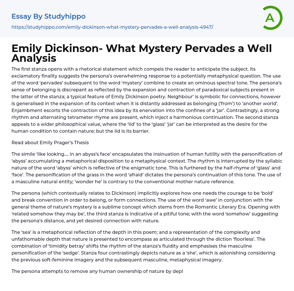 Emily Dickinson- What Mystery Pervades a Well Analysis Essay Example