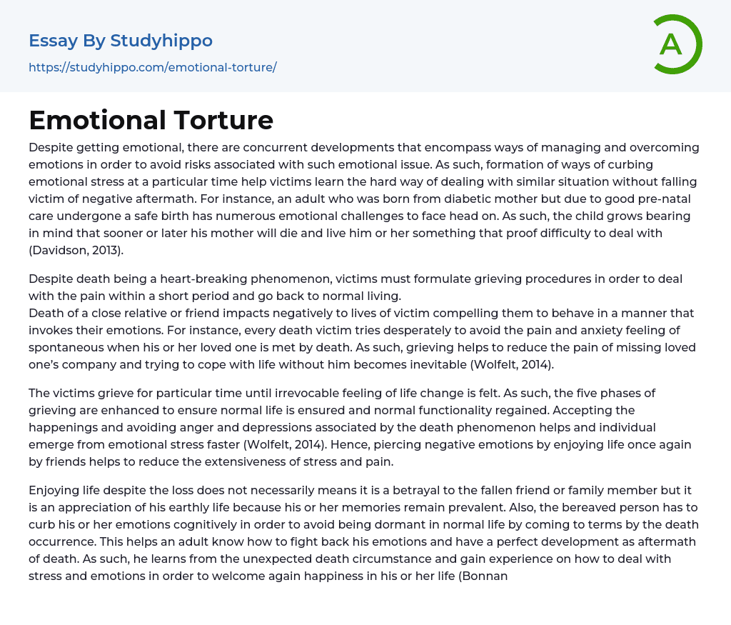 Emotional Torture Essay Example
