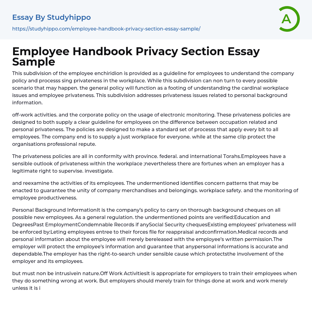 Employee Handbook Privacy Section Essay Sample