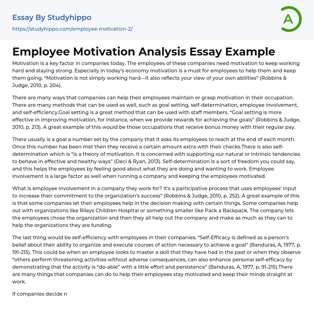 Employee Motivation Analysis Essay Example