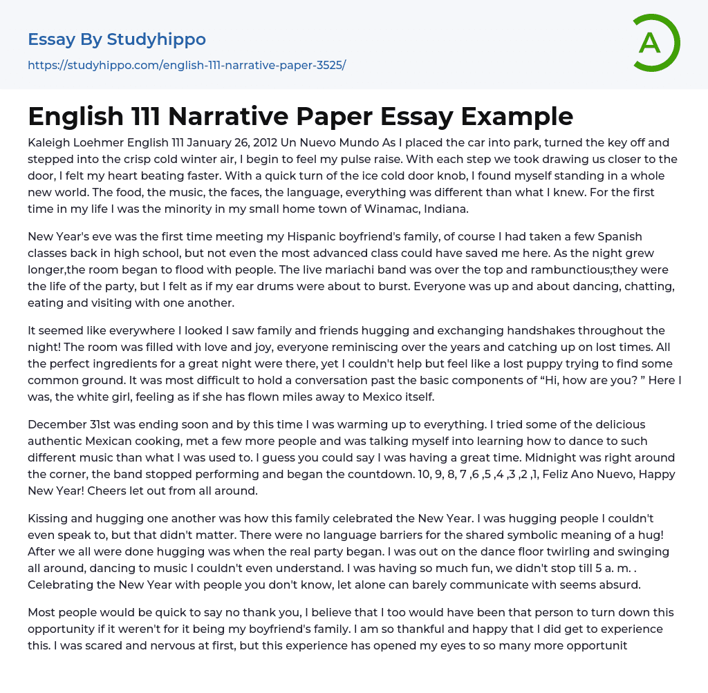 English 111 Narrative Paper Essay Example