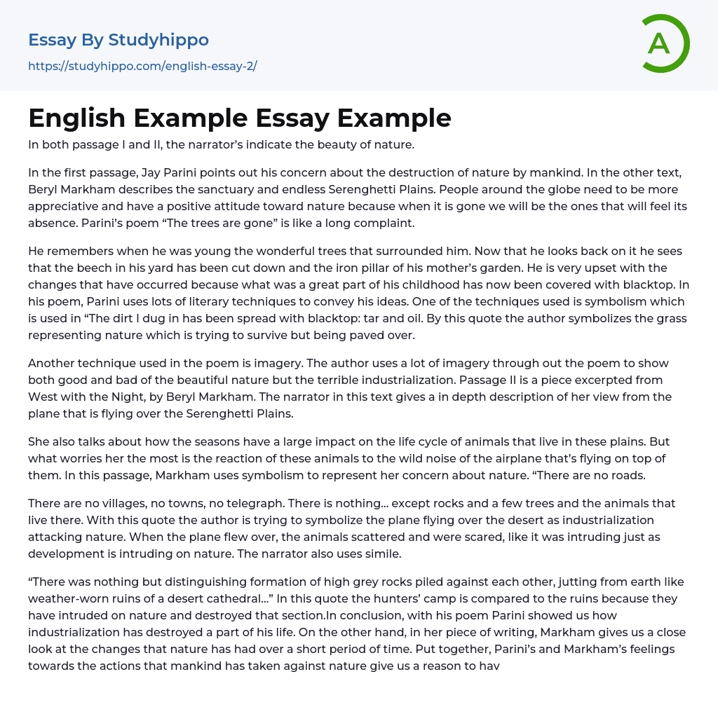 English Example Essay Example