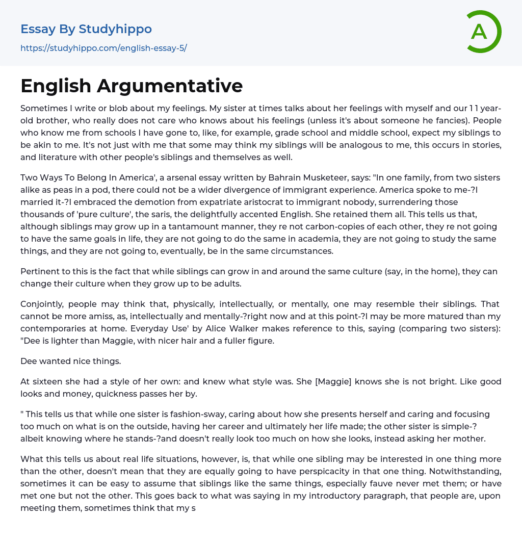 English Argumentative Essay Example
