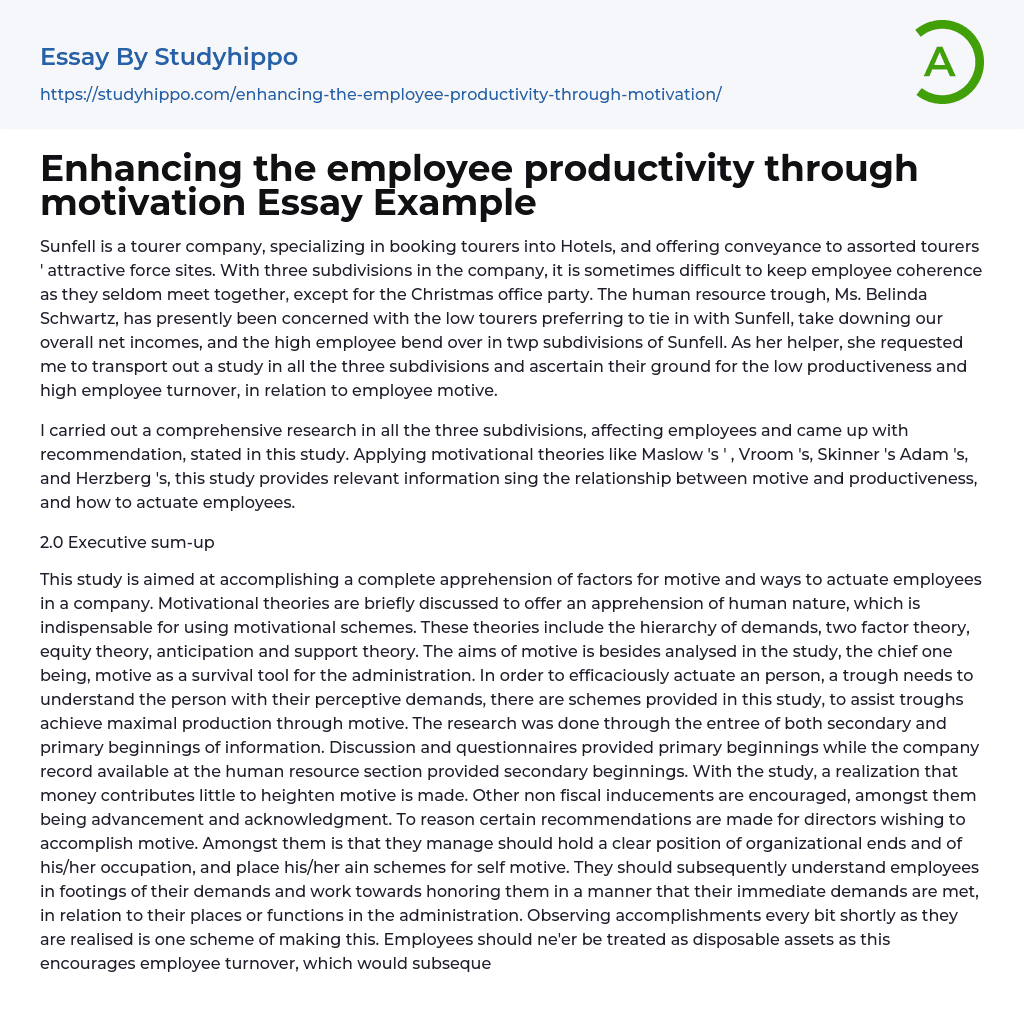 Enhancing the employee productivity through motivation Essay Example