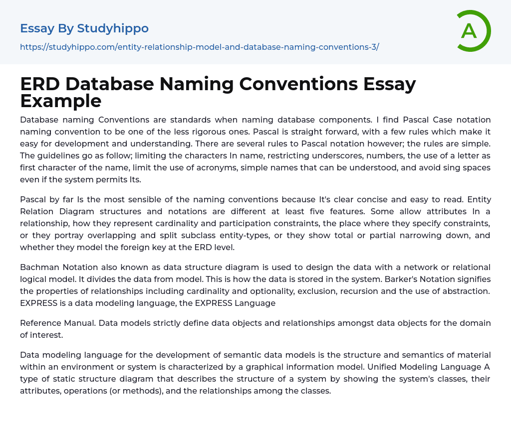 ERD Database Naming Conventions Essay Example