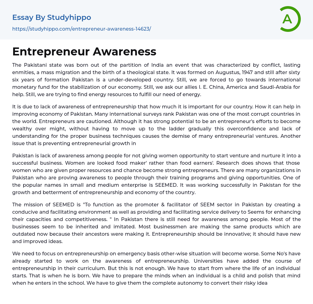 Entrepreneur Awareness Essay Example