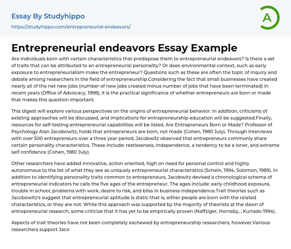 Entrepreneurial endeavors Essay Example