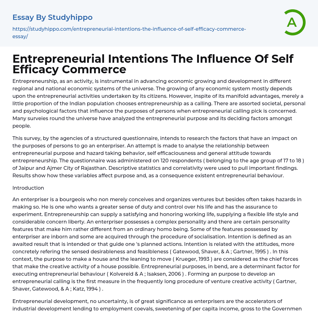 Entrepreneurial Intentions The Influence Of Self Efficacy Commerce Essay Example