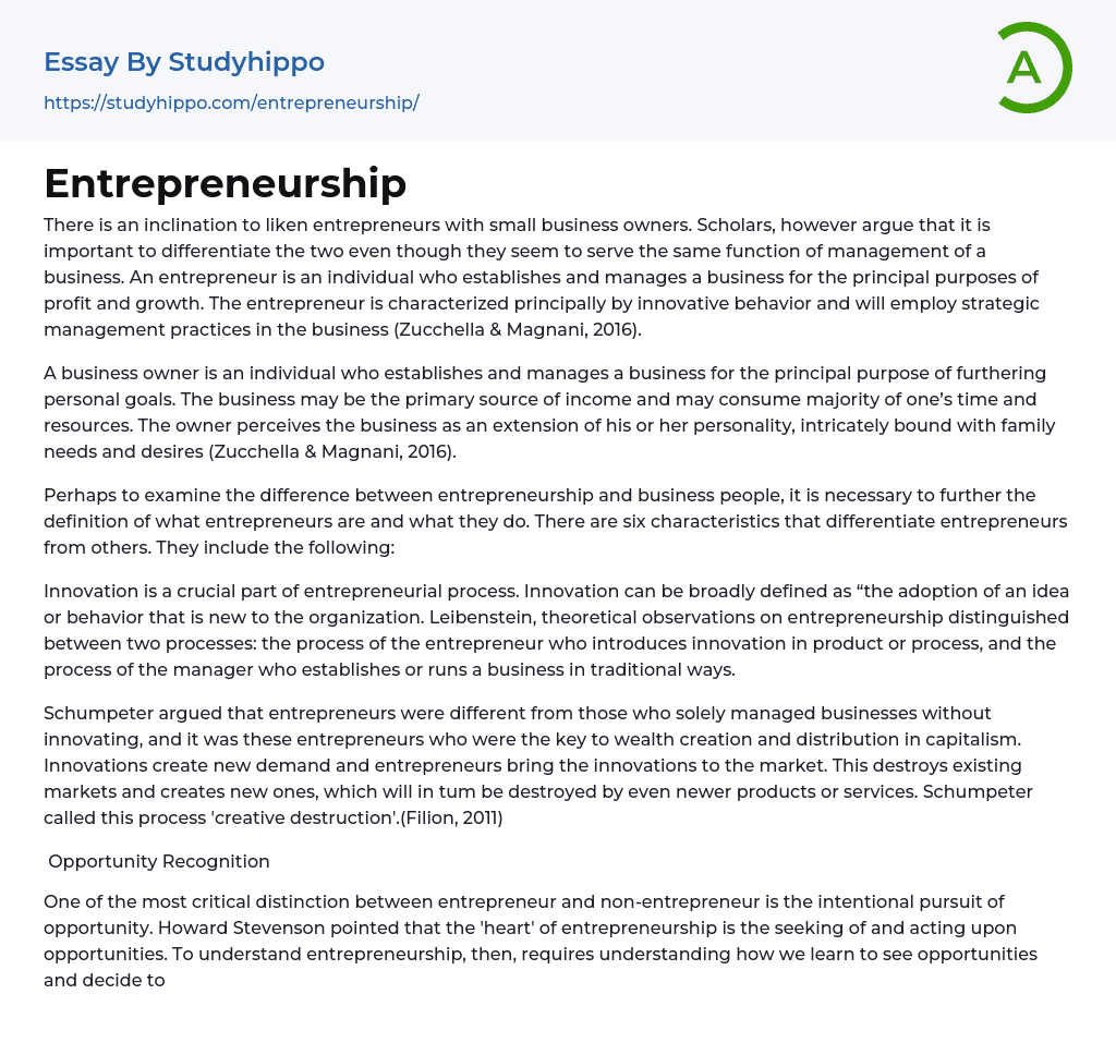 Entrepreneurship Essay Example