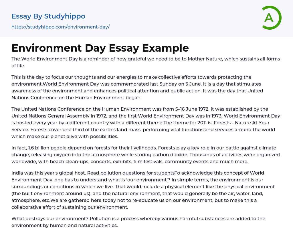Environment Day Essay Example