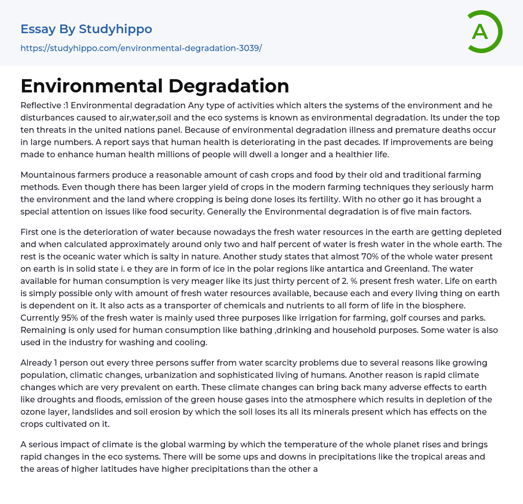 environmental degradation essay 300 words