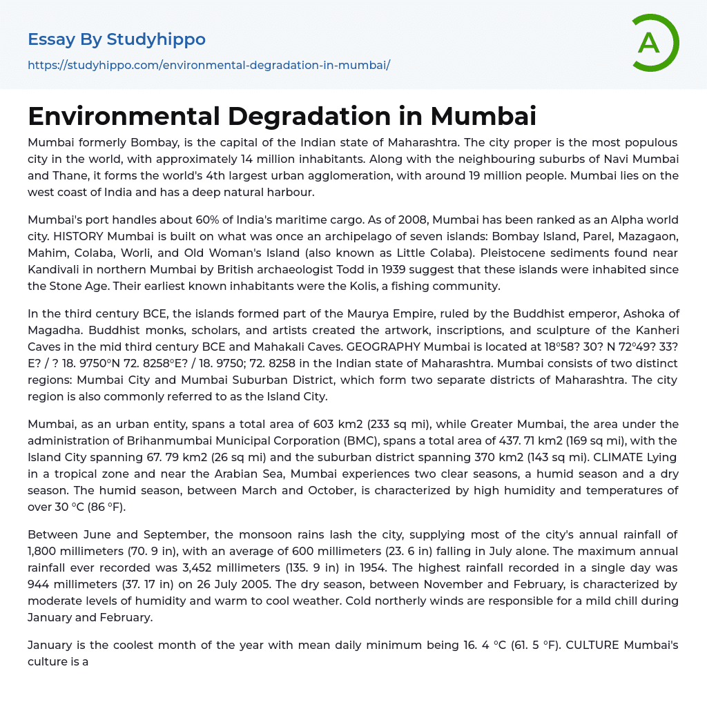 Environmental Degradation in Mumbai Essay Example