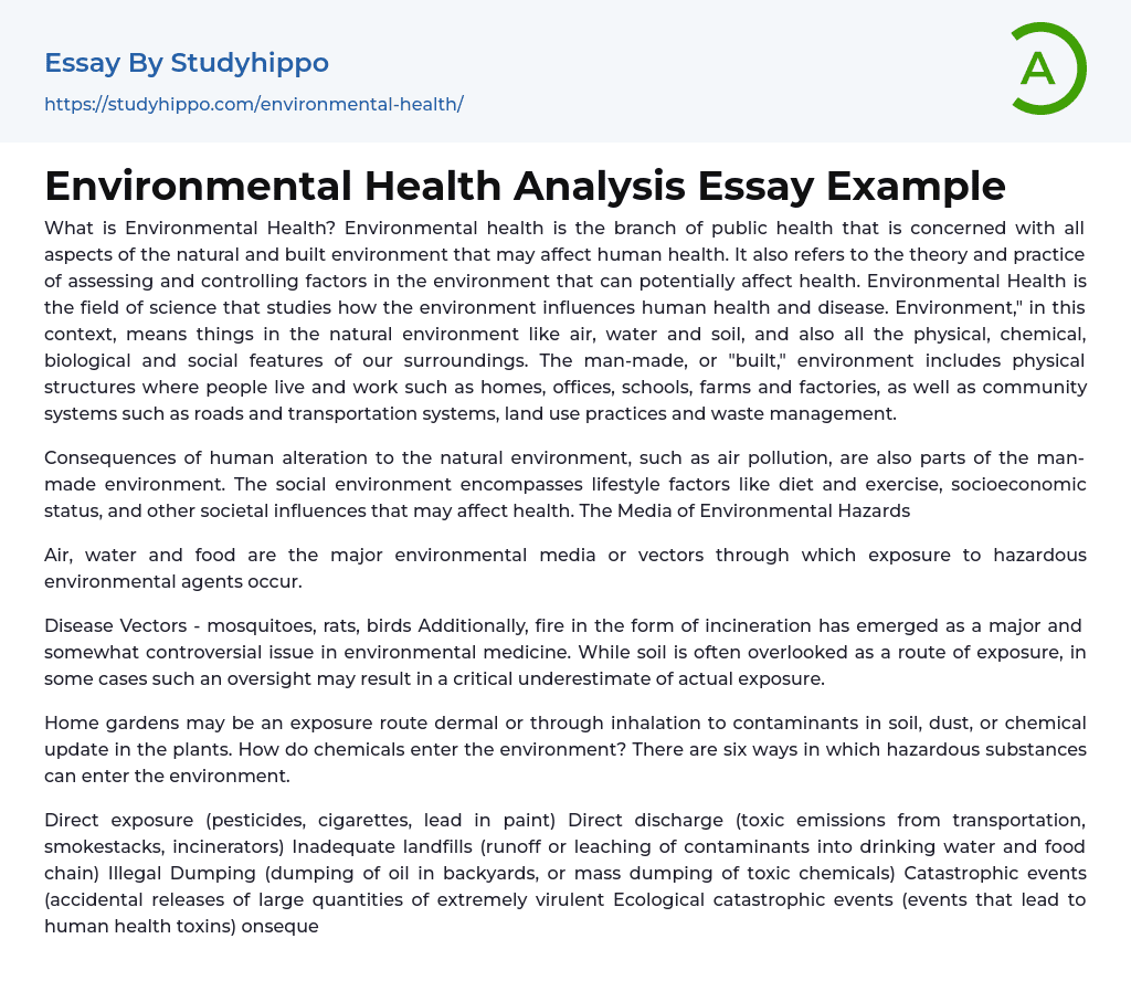 Environmental Health Analysis Essay Example