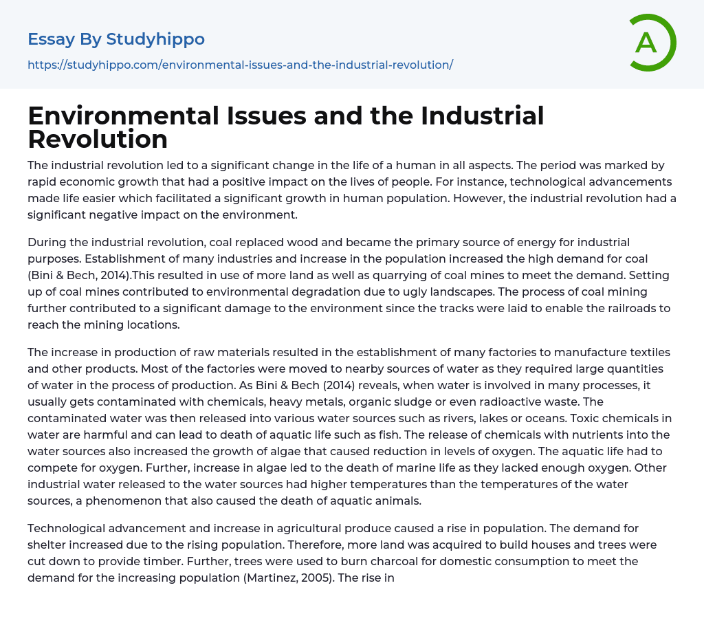 Environmental Issues and the Industrial Revolution Essay Example