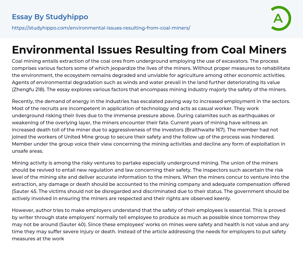 Environmental Issues Resulting from Coal Miners Essay Example