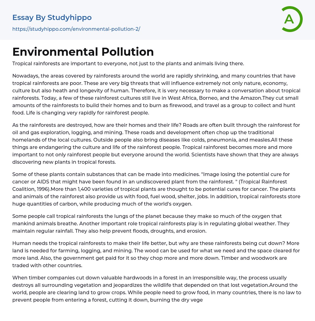 Environmental Pollution Essay Example