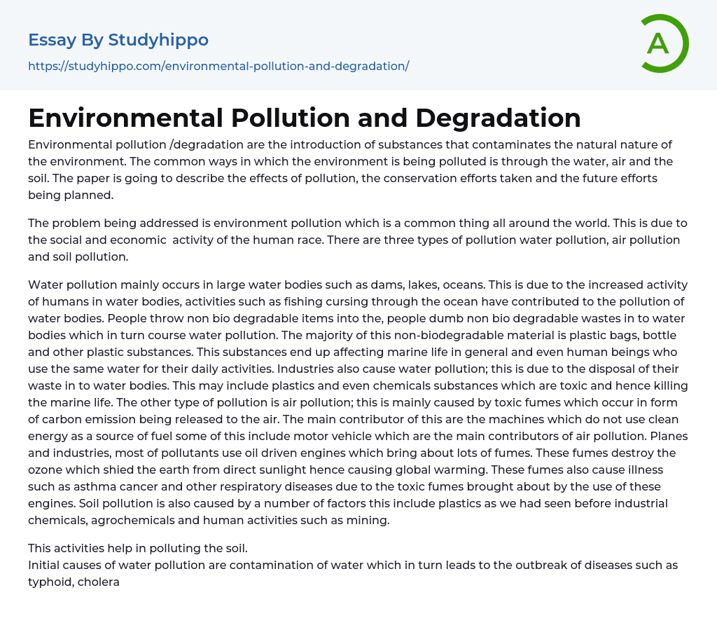 essay on the environmental degradation