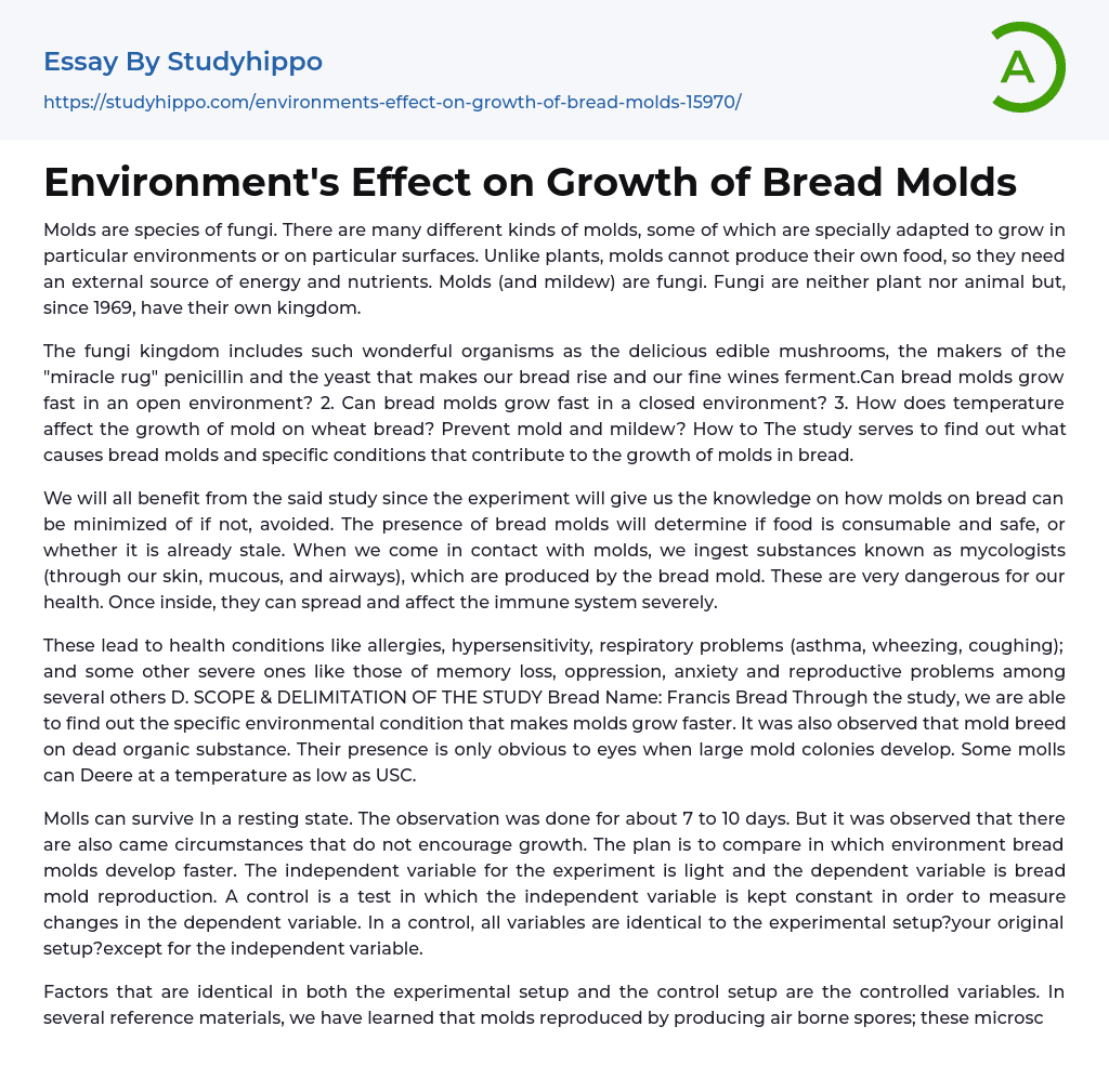 Environment’s Effect on Growth of Bread Molds Essay Example