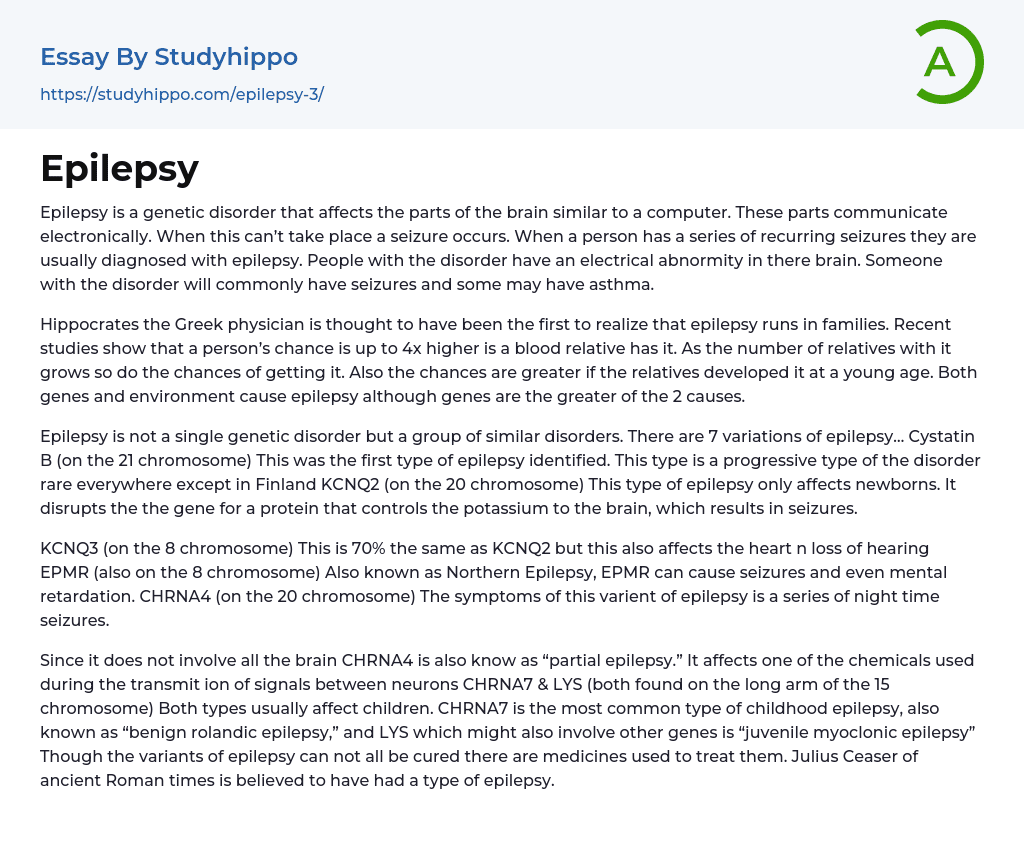Epilepsy Essay Example