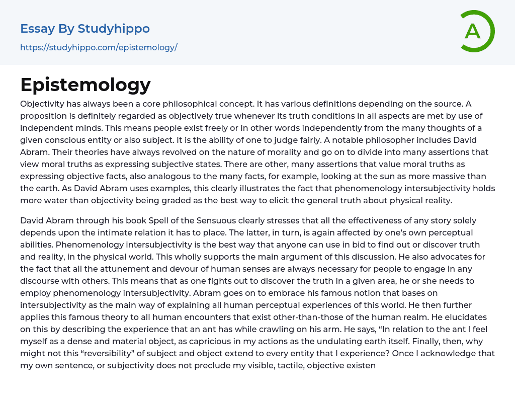 Epistemology Essay Example