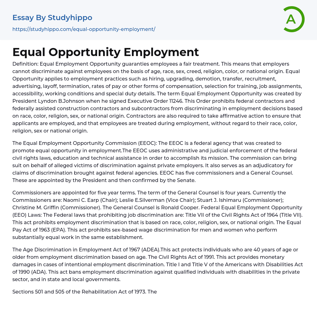 Equal Opportunity Employment Essay Example