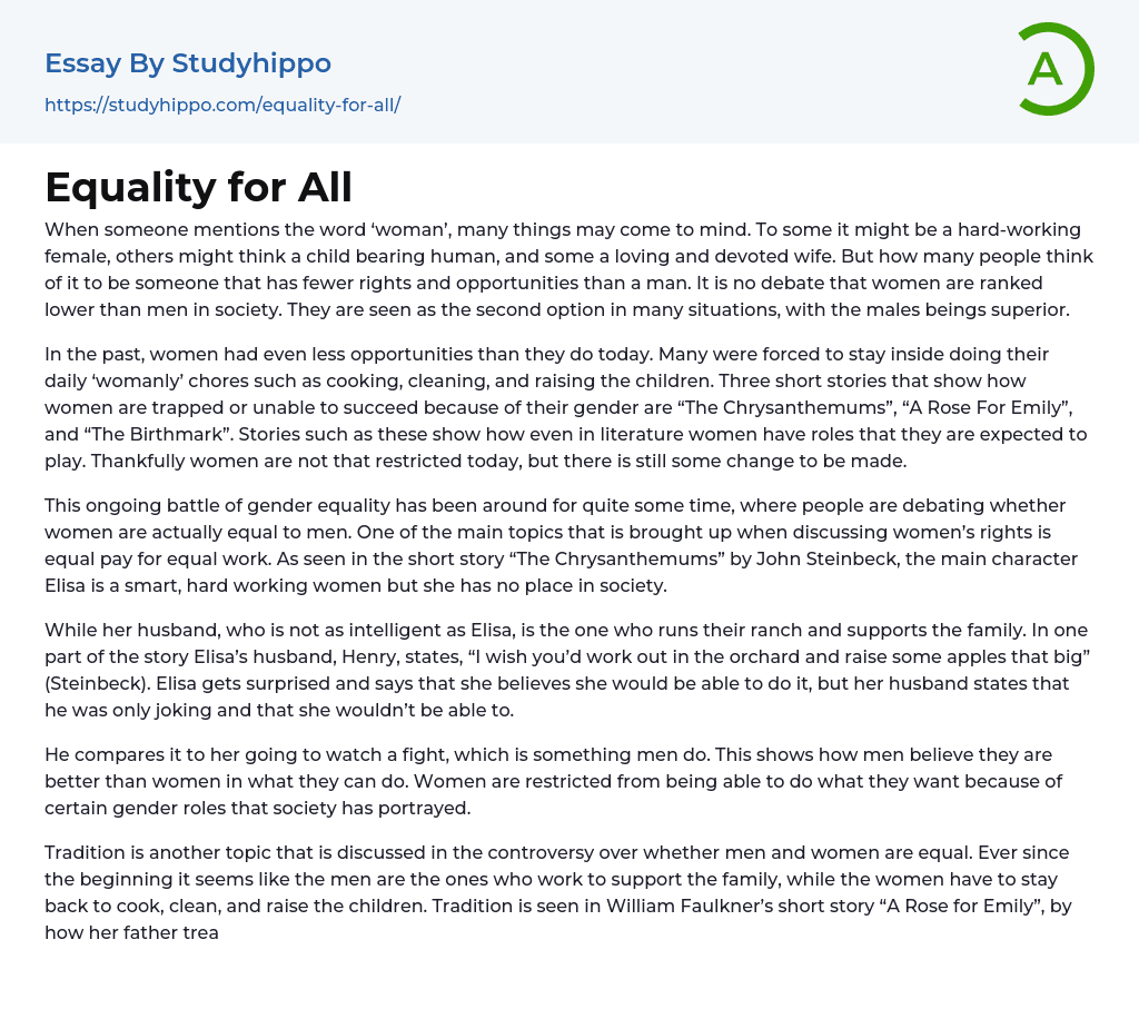 Equality for All Essay Example