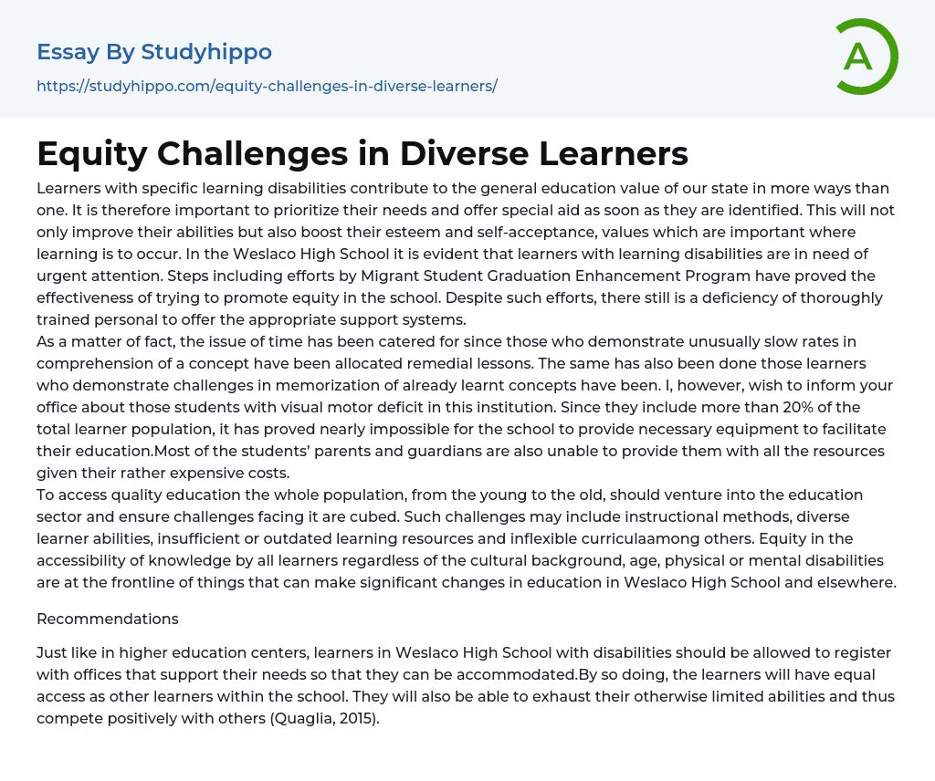 Equity Challenges in Diverse Learners Essay Example