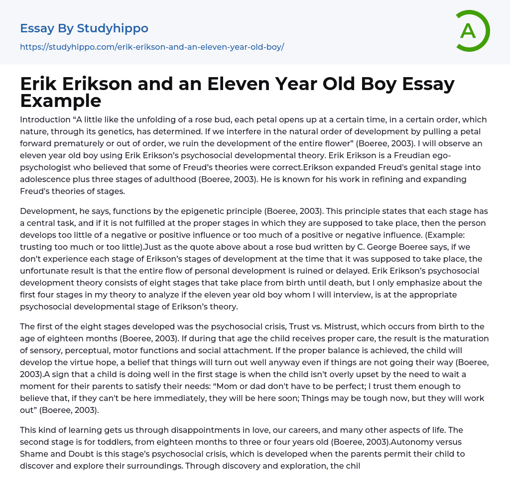 Erik Erikson and an Eleven Year Old Boy Essay Example