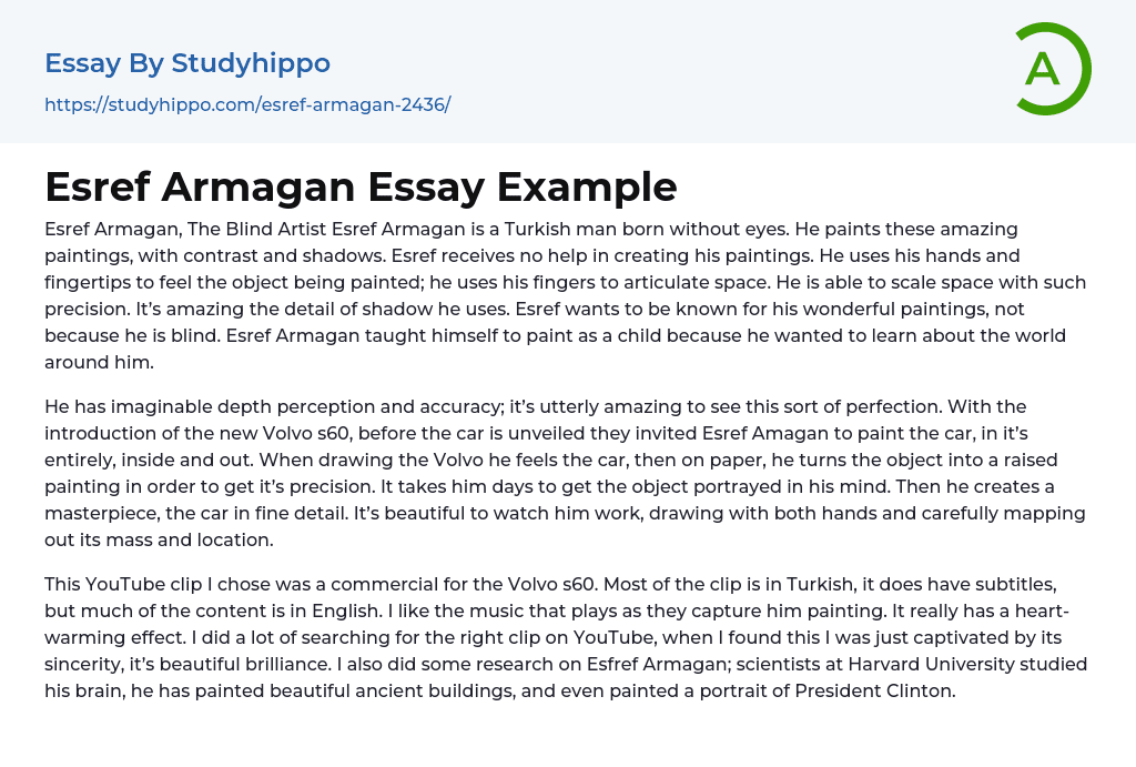 Esref Armagan Essay Example