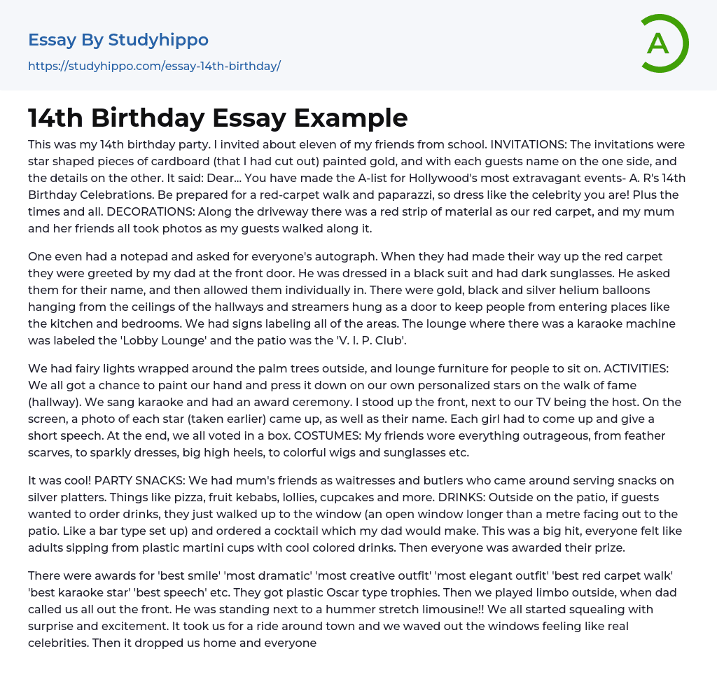 14th Birthday Essay Example
