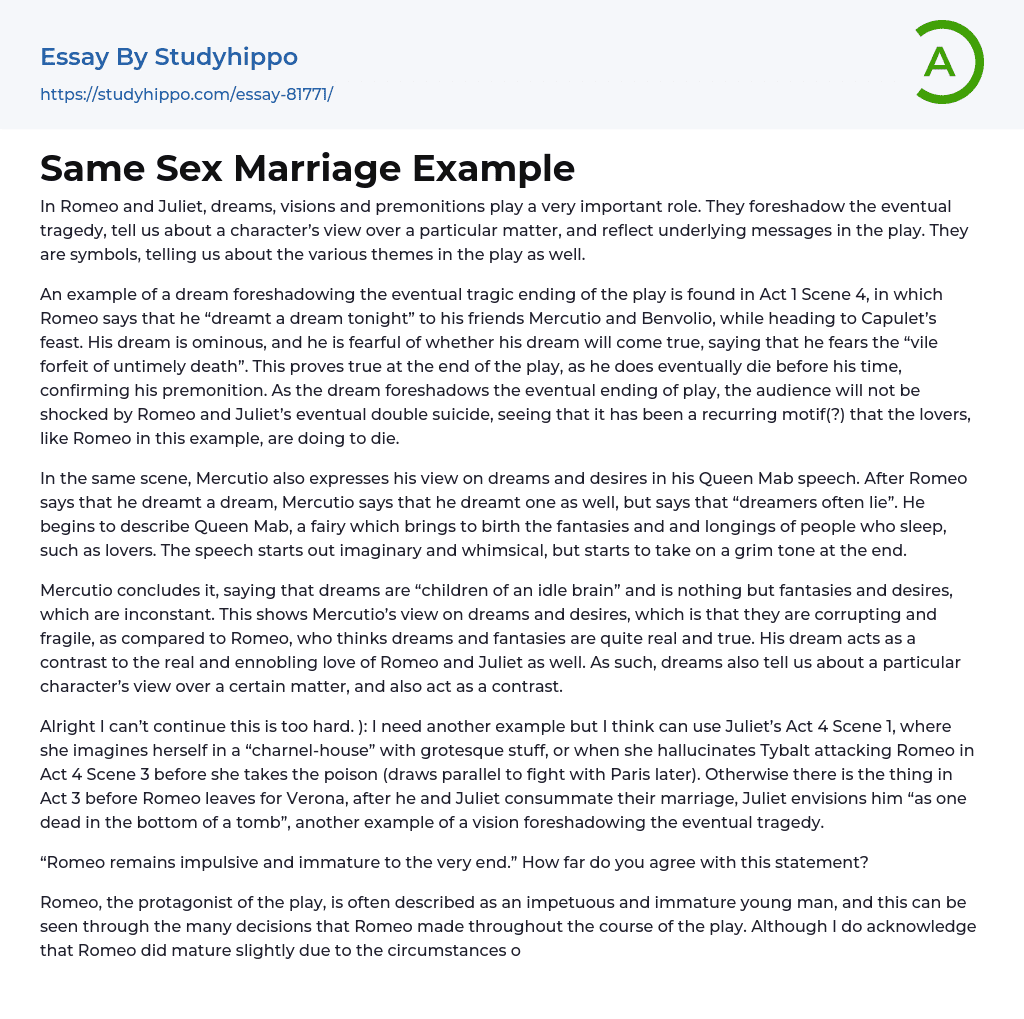 Same Sex Marriage Example Essay Example