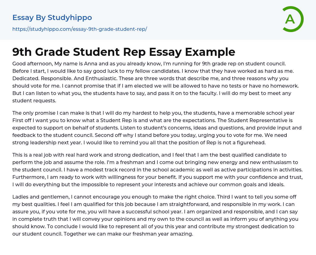 9th Grade Student Rep Essay Example