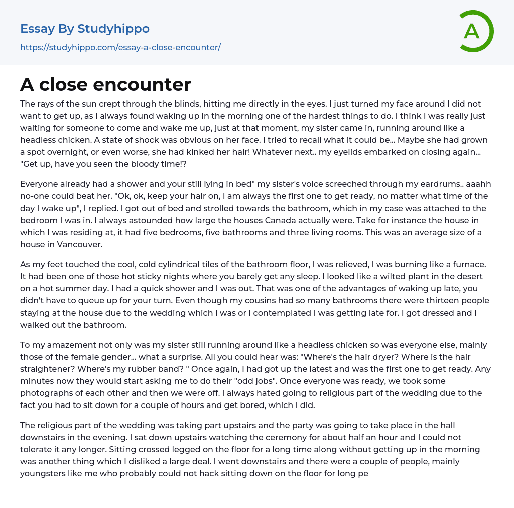 A close encounter Essay Example